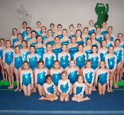 2012-2013 Competitive Team