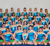 2013-2014 Competitive Team